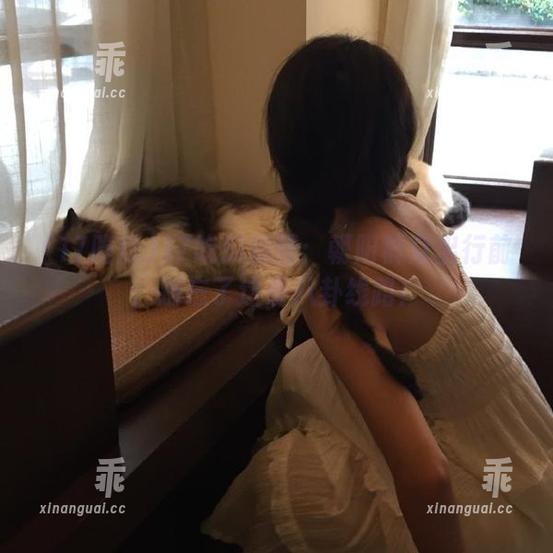 17吃瓜 17吃瓜提醒:朝阳群众出行前,别忘了这条八卦线路!