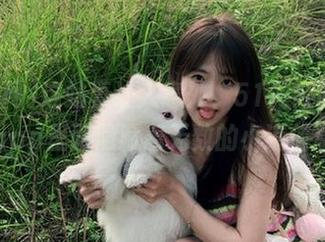 这站真让人意外，51网红吃瓜网app里面隐藏着无数的小道信息