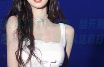 月黑风高夜，翻开黑料正能量官网入口，另一扇门就这样打开了