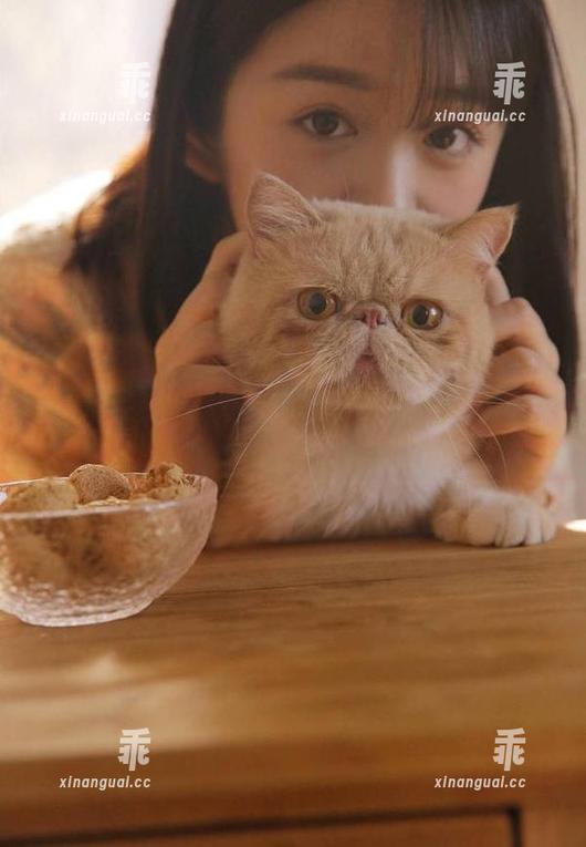 黑料正能量 跟上黑料正能量官网的线路,瓜吃到任性!