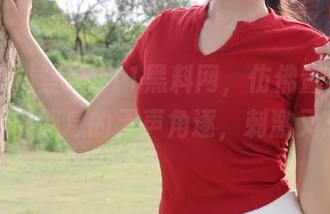 登录911黑料网，仿佛置身于一场跟小道消息的无声角逐，刺激又忐忑！